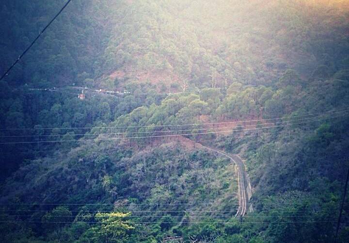 Hotel Divshikha, Kasauli 3